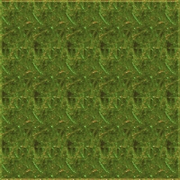 asylumbladetext800x800-064 asylumbladetext800x800-064