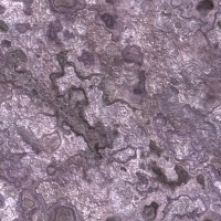 thetexturesmineraldis-015 thetexturesmineraldis-015