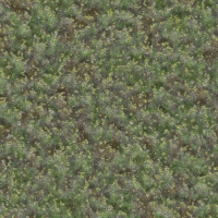 theasylumpebbletexture1000x1000-004