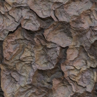 asylumorganic-004