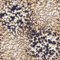 theasylumtexturebubblingseamless-006 theasylumtexturebubblingseamless-006
