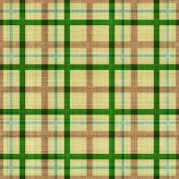 asylumplaid800x800-028