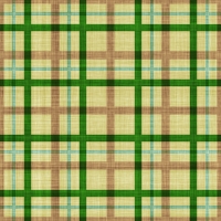 asylumplaid800x800-028