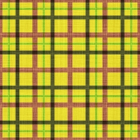 asylumplaid800x800-029