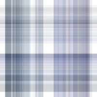 asylumplaid800x800-040