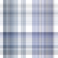 asylumplaid800x800-040