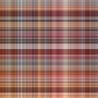 asylumplaid800x800-046 asylumplaid800x800-046