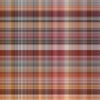 asylumplaid800x800-046