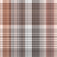 asylumplaid800x800-047