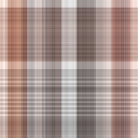 asylumplaid800x800-047