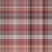 asylumplaid800x800-050