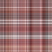 asylumplaid800x800-050