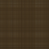 asylumplaid800x800-083