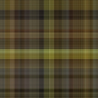 asylumplaid800x800-084