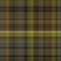 asylumplaid800x800-084