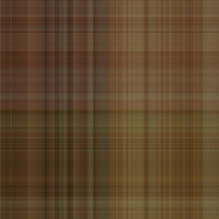 asylumplaid800x800-086