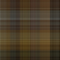 asylumplaid800x800-087