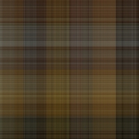 asylumplaid800x800-087