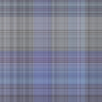 asylumplaid800x800-098