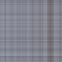 asylumplaid800x800-099