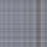 asylumplaid800x800-099