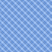 asylumplaid800x800-109