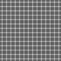 asylumgingham800x800-007 asylumgingham800x800-007