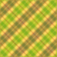 asylumgingham800x800-012 asylumgingham800x800-012