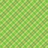 asylumgingham800x800-016
