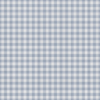 asylumgingham800x800-026