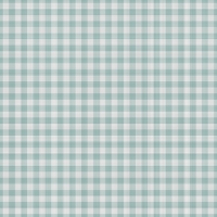 asylumgingham800x800-027