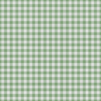 asylumgingham800x800-028